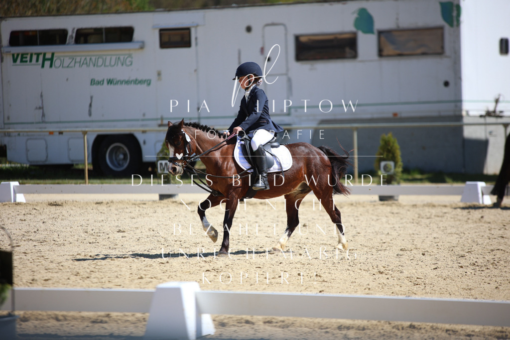 IMGT1368 | pl-fotografie