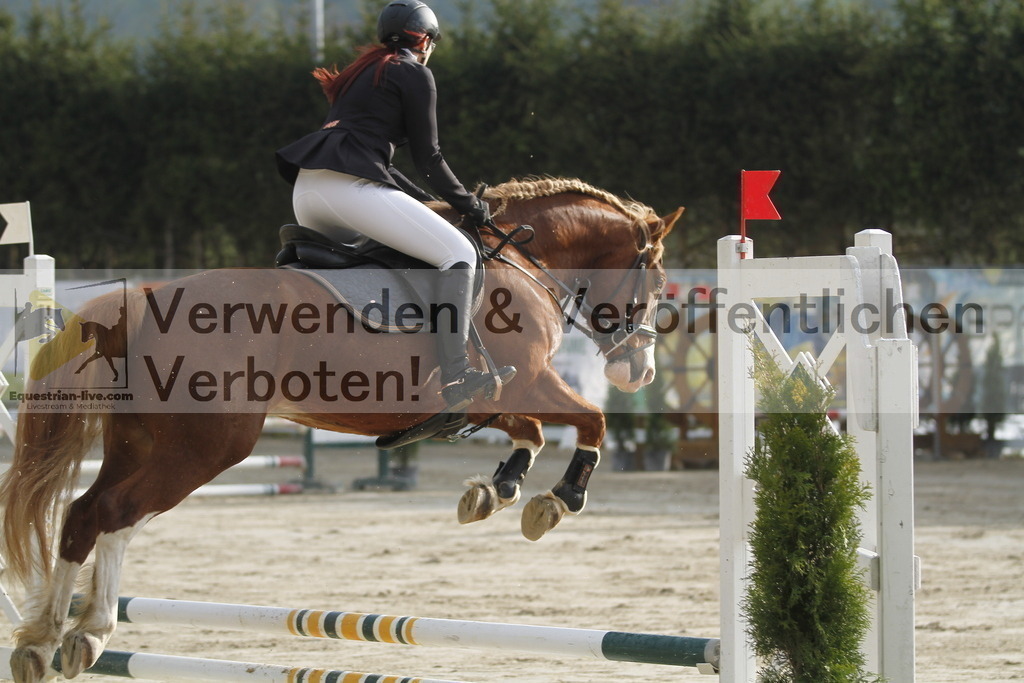 _MG_2320 | equestrian-live-com