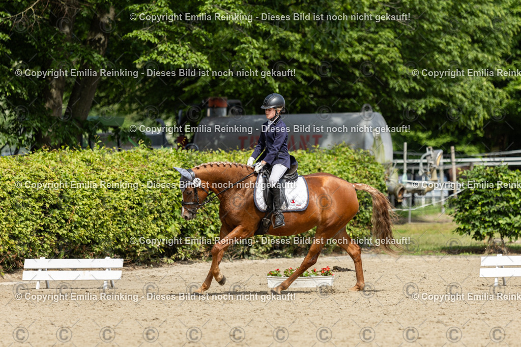 CL5A1342 | Emilia Reinking Fotografie - Realisiert mit Pictrs.com