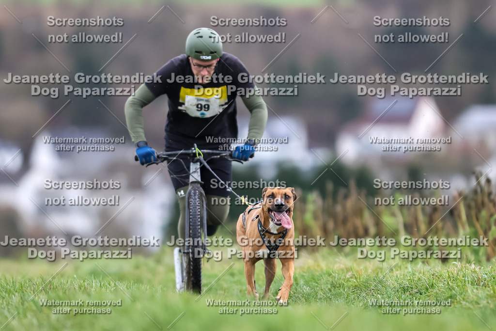 Dog Paparazzi - Herkules Race  2025-30 | Dog Paparazzi Jeanette Grottendiek Fotografie & Videografie