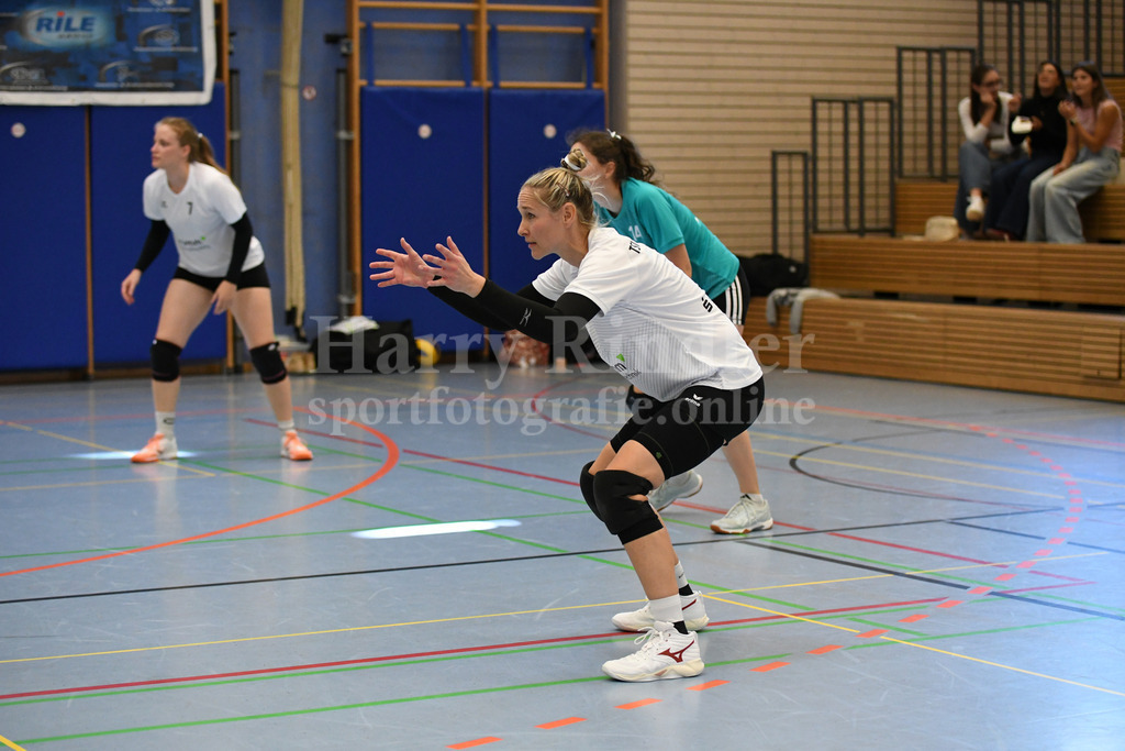 TSV Deggendorf Damen : Wilde Wespen Steinach | TSV Deggendorf Damen : Wilde Wespen Steinach - Realisiert mit Pictrs.com