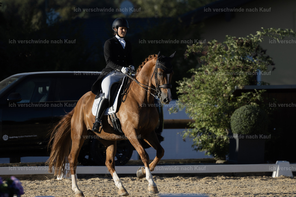 FHC2026_P09_204_19184 | Fichtenhof Classics 2026 – Grand Prix de Dressage - VOLTAIRE Design Preis, Reitanlage Fichtenhof, Sch ftlarn