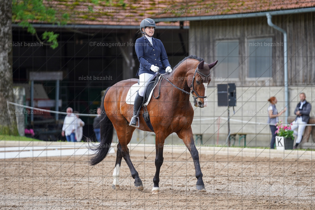 20240519-FAH05103 | Turnierbilder Niederseeon 2024, Vielseitigkeitsdressur, Reitsportbilder aus dem Landkreit Ebersberg, Gut Steinsee, RC Steinsee, Fotoagentur Herrmann
