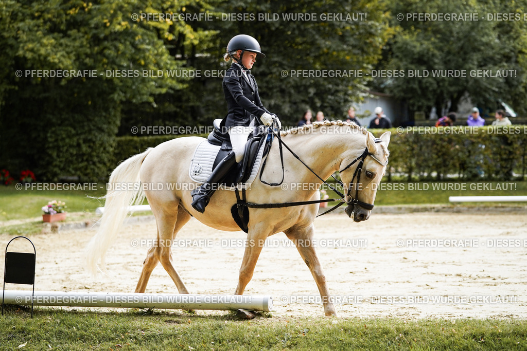 DSC05567 | Pferdegrafie