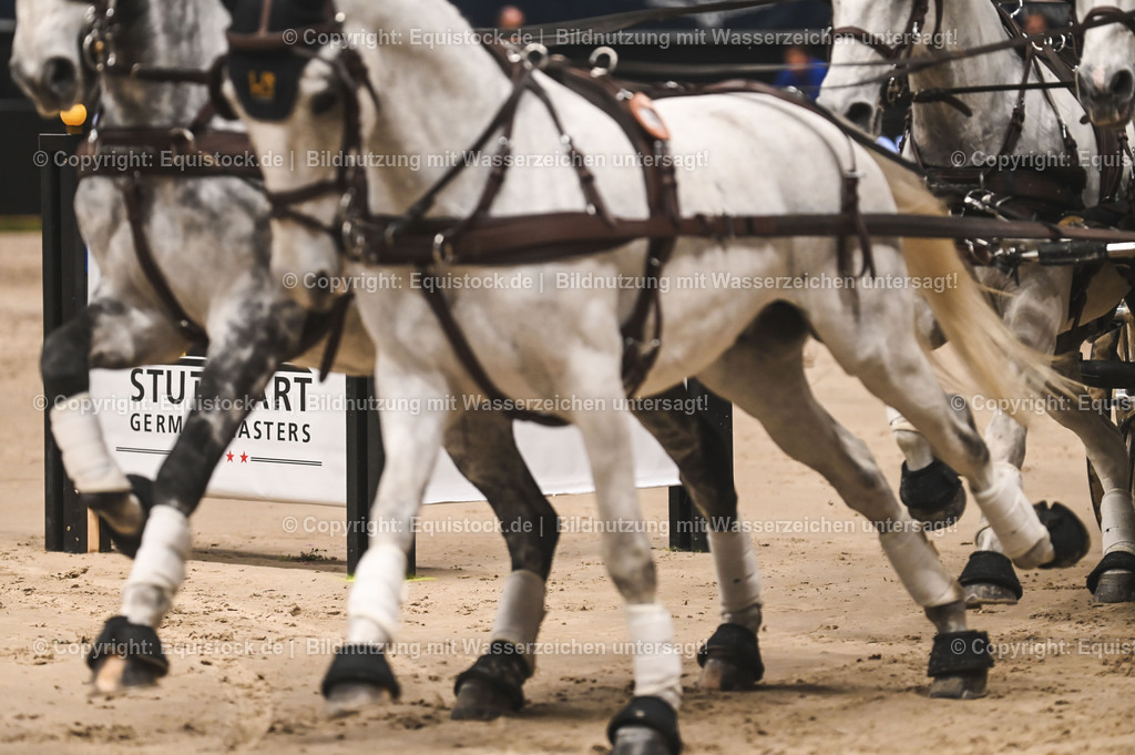 20241116_Fahren-Masterhorse_TOMsPiC_0166 | Foto: Thomas Hartig