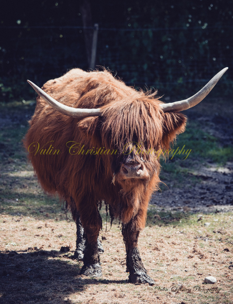 PH 14 | Christian Vulin  - Realisiert mit Pictrs.com