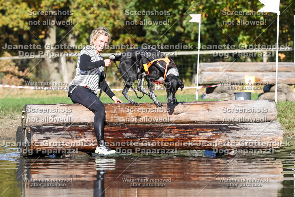 Dog Paparazzi - Strongdog 10-25-8972 | Dog Paparazzi Jeanette Grottendiek Fotografie & Videografie - Realisiert mit Pictrs.com