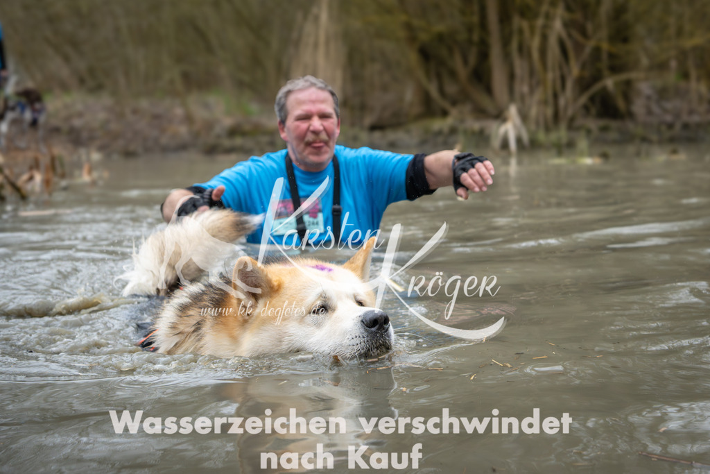 1351_ZZ93466 | kk-dogfotos