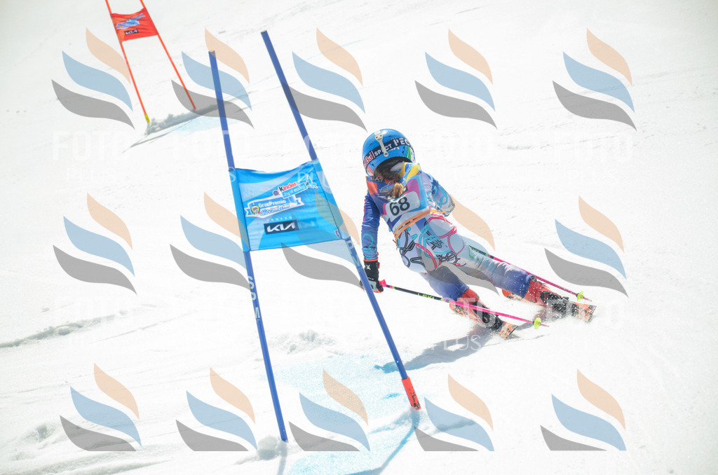 _ELE5415 | holidayphoto