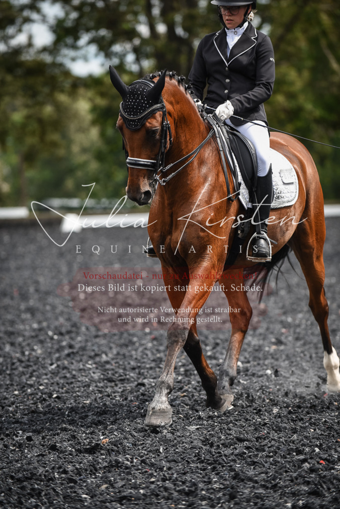 DSC_4981 | Pferde- und Turnierfotografie in Westsachsen. Pferdeportraits, Auftragszeichnungen und intuitive Kunst.