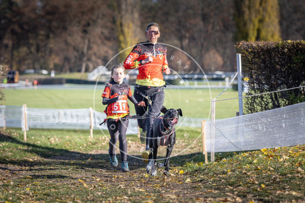 CaniXpix_DV3A8084 | Hundefotografie, Tierfotograf, Pfotenfotografie, Fotoshooting Hund, Hunde Portrait, Hundesport, Hundeportraits, Heideshooting, Hunde, Sportfotograf, Hundefotograf, Turnierhundsport, THS,  - Realisiert mit Pictrs.com