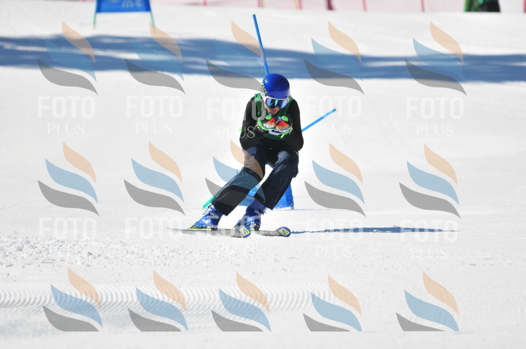 C3551 | holidayphoto