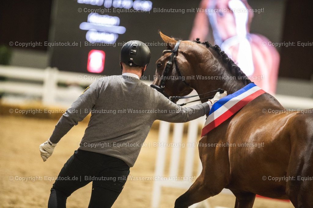 20240302_Hengstvorstellung_Marbach_TOMsPiC_0479-2 | equistock