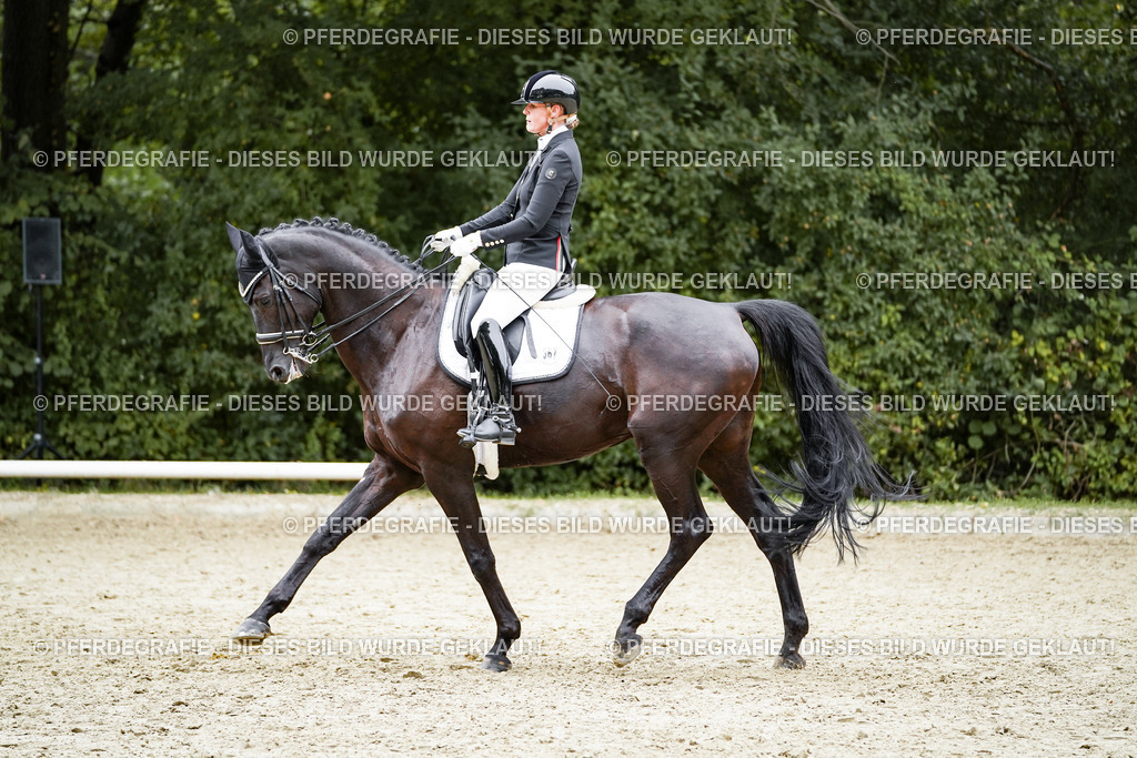 DSC01432 | Pferdegrafie