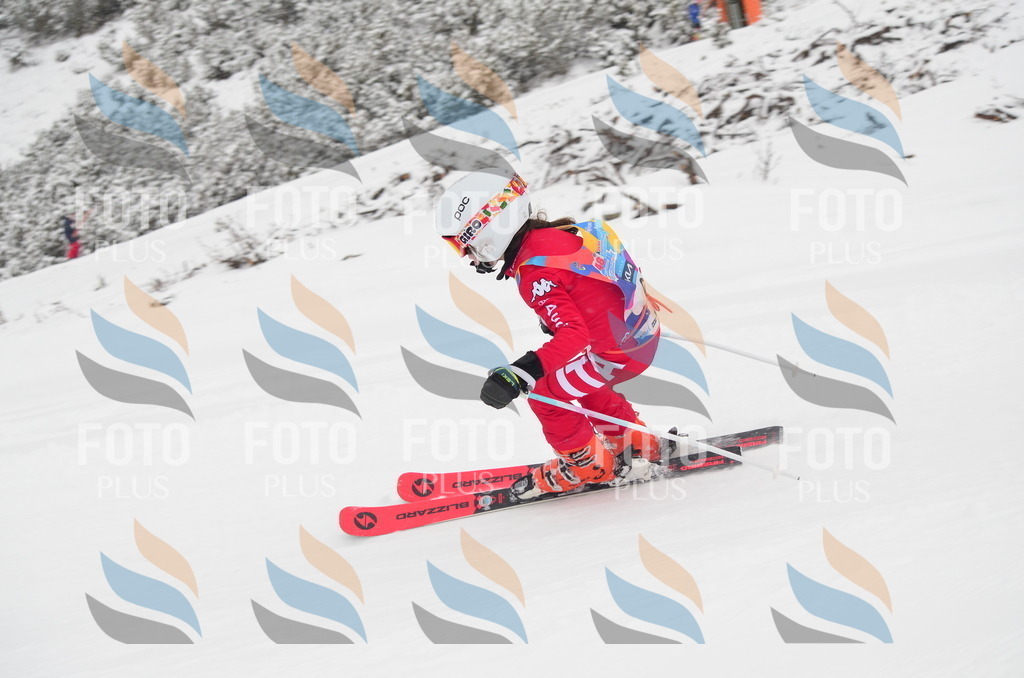 C0565 | holidayphoto