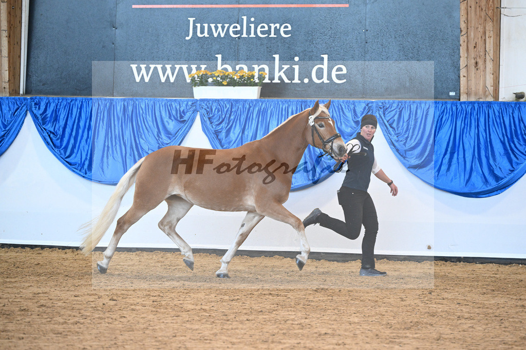 Bl. Band Kat-Nr. 13 Nosta Rica M v. Stano II_Mueller_48241189 | hf-fotografie - Realisiert mit Pictrs.com