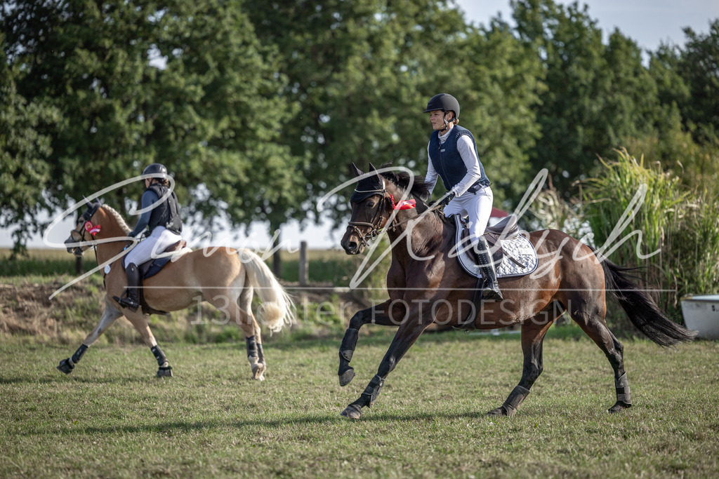 20250907-_3LI9095 | Tierfotografie Pferde, Hunde, Katzen, Haustiere.
Turnierfotografie Reitturniere, Reiten, Springreiten, Dressur in Hanau, dem Main-Kinzig-Kreis und dem Rhein-Main- Gebiet um Frankfurt