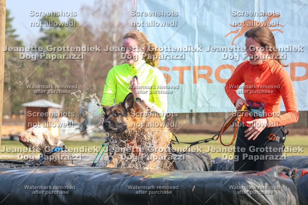 Dog Paparazzi - Strongdog North Mrz26-2323 | Dog Paparazzi Jeanette Grottendiek Fotografie & Videografie - Realisiert mit Pictrs.com