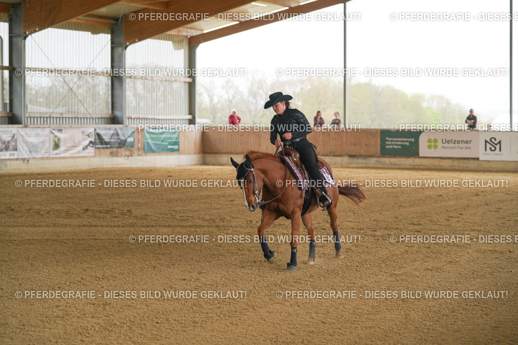 DSC07013 | Pferdegrafie