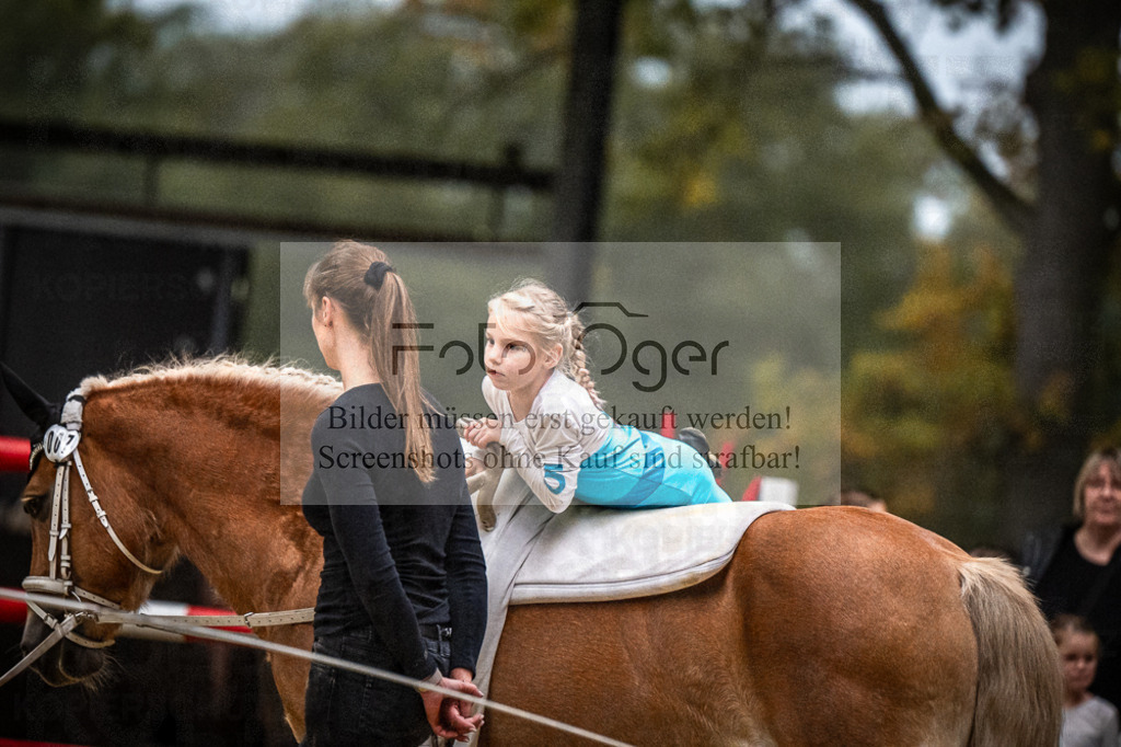 DOS_0239 | Entdecke hochwertige Reitturnierfotos von Foto Oger. Professionell, emotional und authentisch – jetzt Lieblingsmomente im Shop bestellen.Deutschlandweite Turnierfotografie. - Realisiert mit Pictrs.com