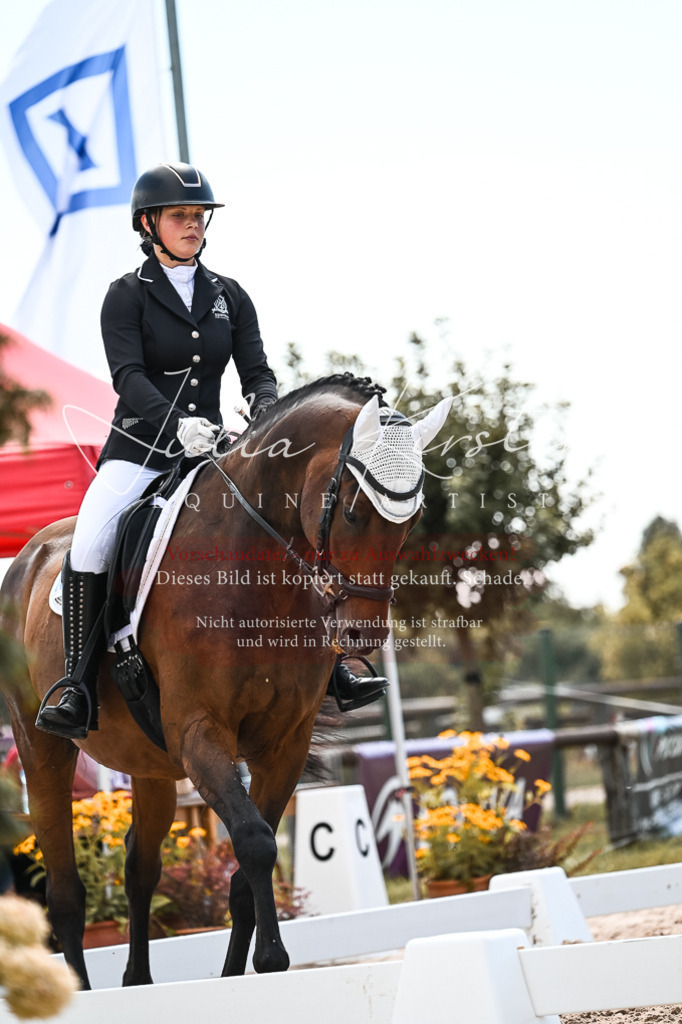 DSC_5648 | Pferde- und Turnierfotografie in Westsachsen. Pferdeportraits, Auftragszeichnungen und intuitive Kunst.
