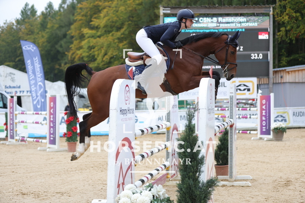 0P6A6763 | Willkommen bei Brunnmayr - Design & Fotografie – Ihrem Spezialisten für Reitturniere und Pferdeveranstaltungen in Oberösterreich, Salzburg und Bayern! Seit über 17 Jahren sind wir leidenschaftlich dabei.