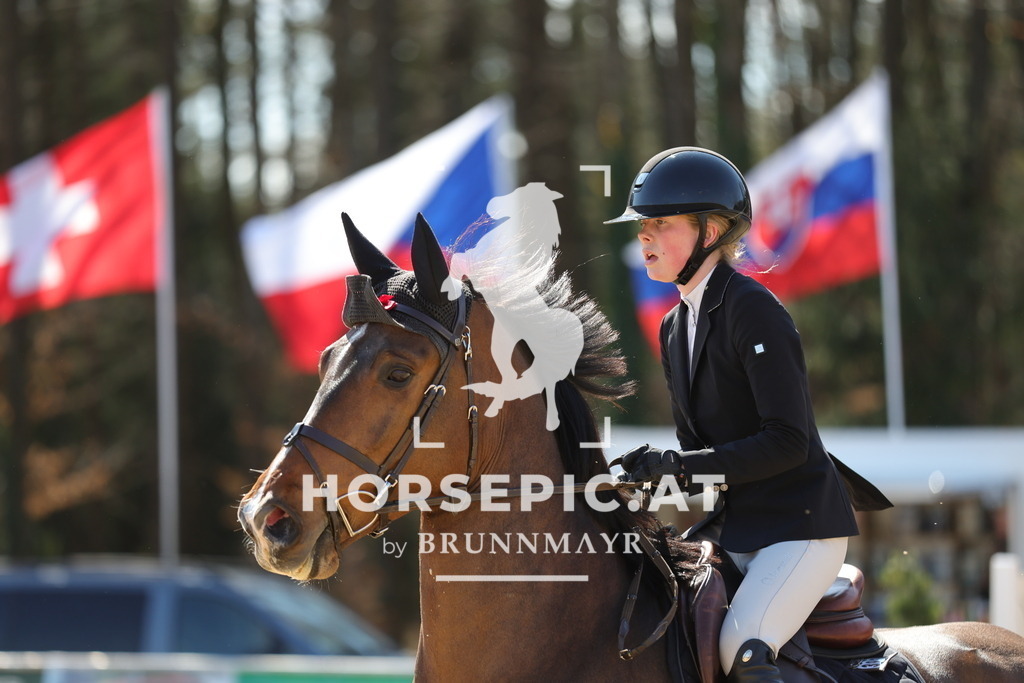 0P6A0563 | Willkommen bei Brunnmayr - Design & Fotografie – Ihrem Spezialisten für Reitturniere und Pferdeveranstaltungen in Oberösterreich, Salzburg und Bayern! Seit über 17 Jahren sind wir leidenschaftlich dabei.