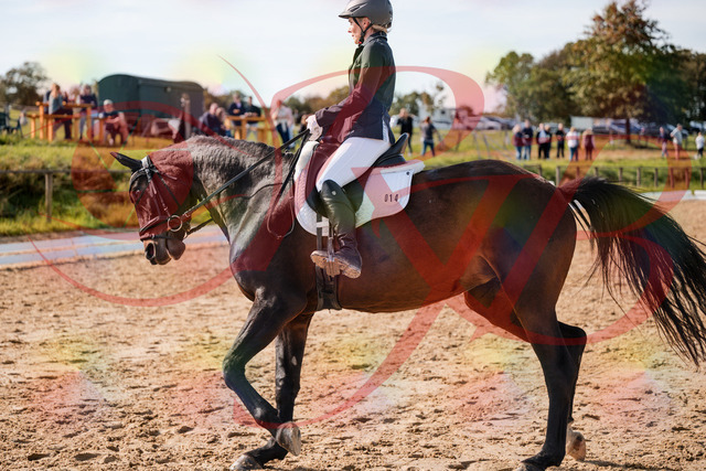 2026_10_03_Siefer-Hof_133421_Z63_92663490 | Professionelle Reitsport-, Turnier- und Eventfotografie von Robert Broda. Galerien mit ausgewählten und bearbeiteten Bildern direkt online ansehen und bestellen.