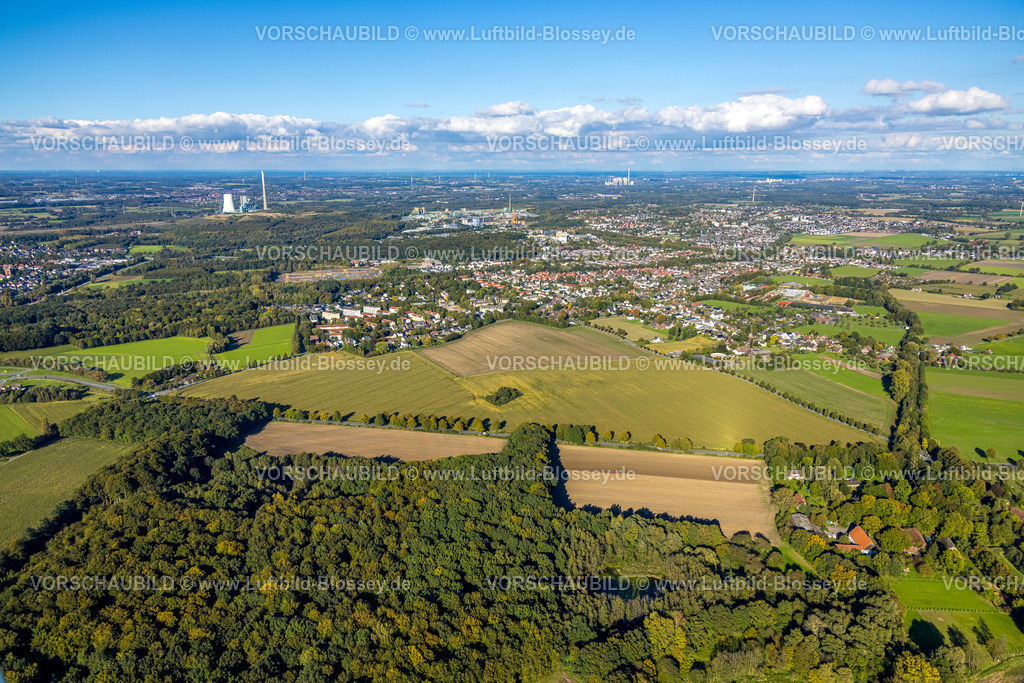 Bergkamen241006449Maiwald | Luftbild, dreieckige Baumgruppe auf einem Feld an der Lünener Straße, Acker, Feld, Baumgruppe, Landwirtschaft, Weddinghofen, Bergkamen, Ruhrgebiet, Nordrhein-Westfalen, Deutschland
