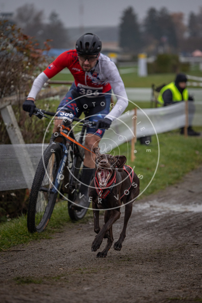 CaniXpix_0L8A1121 | Hundefotografie, Tierfotograf, Pfotenfotografie, Fotoshooting Hund, Hunde Portrait, Hundesport, Hundeportraits, Heideshooting, Hunde, Sportfotograf, Hundefotograf, Turnierhundsport, THS,  - Realisiert mit Pictrs.com