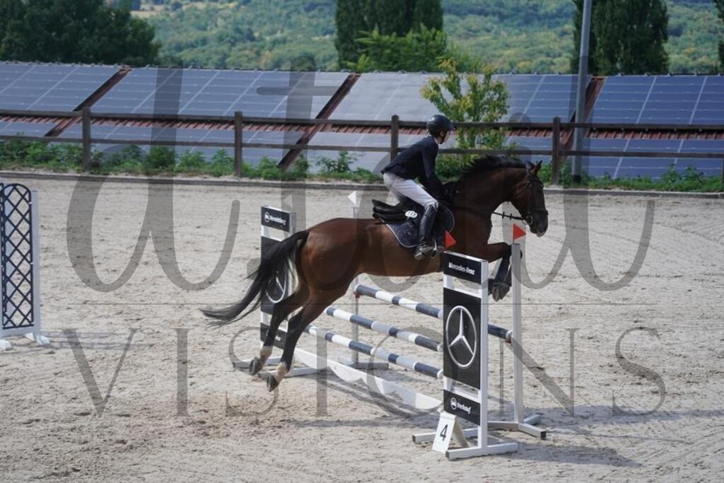 tgbhsonntag (551) | d.tail Visions - Shop - Realisiert mit Pictrs.com