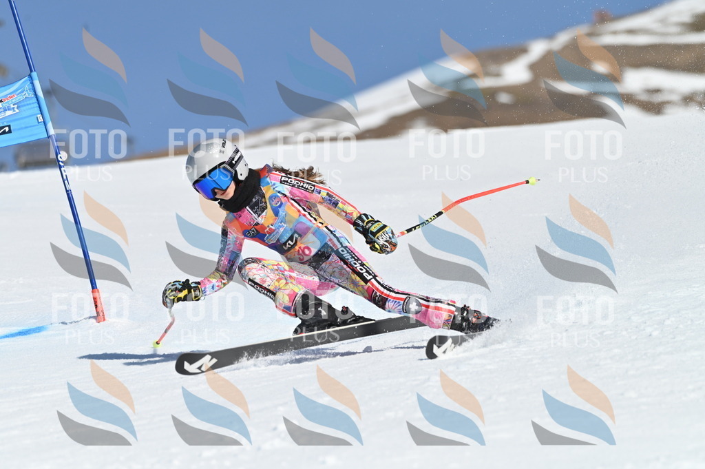 BGV_8270 | holidayphoto