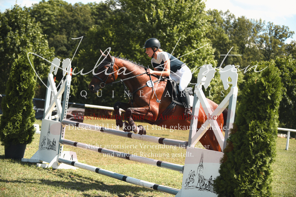 DSC_6493 | Pferde- und Turnierfotografie in Westsachsen. Pferdeportraits, Auftragszeichnungen und intuitive Kunst.