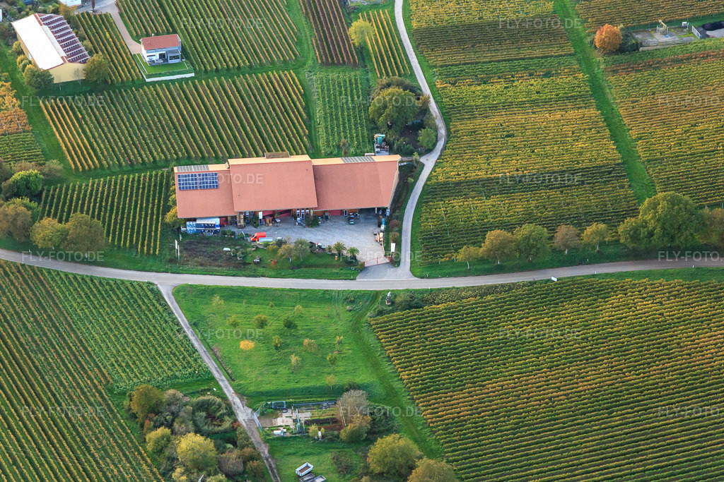 Luftbild: Winzerbetrieb in den Weingärten im Ortsteil Nußdorf in Landau im Bundesland Rheinland-Pfalz in Deutschland.Foto: IMG_135144.jpg vom 22.10.2022 durch Werner Riehm/FLY-FOTO.deAuflösung des Originals: 5221 x 3481 px
