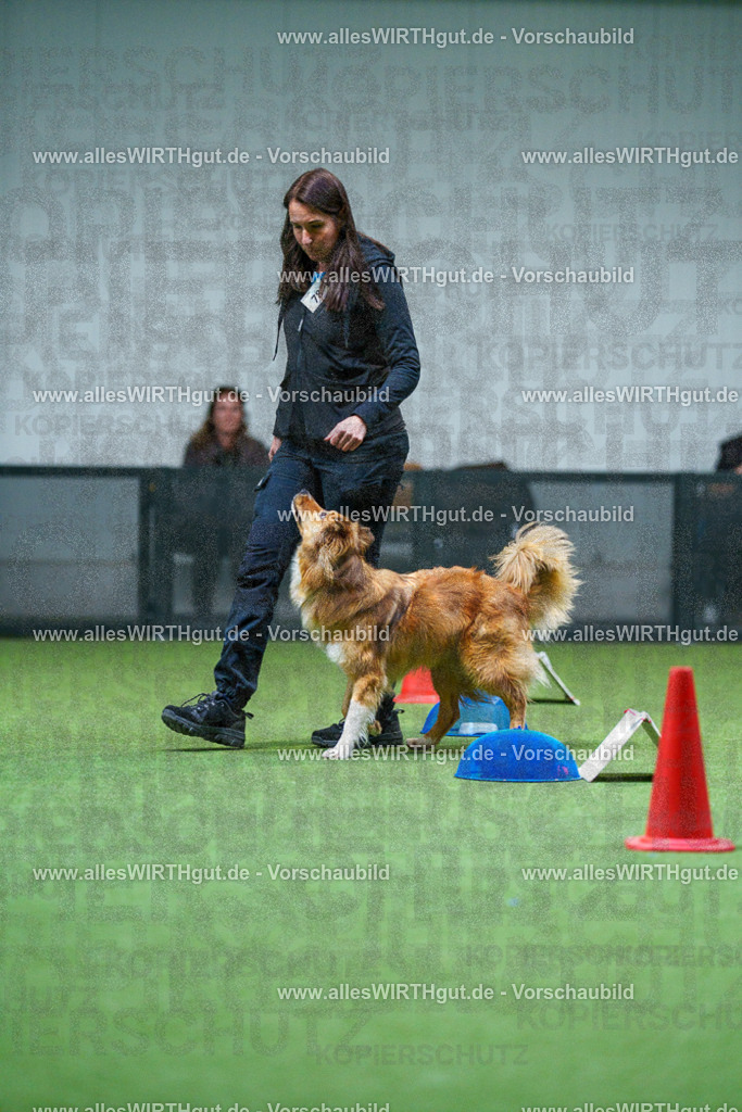 7R502948 | Professionelle Tierfotografie in Mönchengladbach von Daniel Wirth (allesWIRTHgut). Liebevolle & natürliche Bilder von Hunden & Katzen für unvergessliche Erinnerungen.