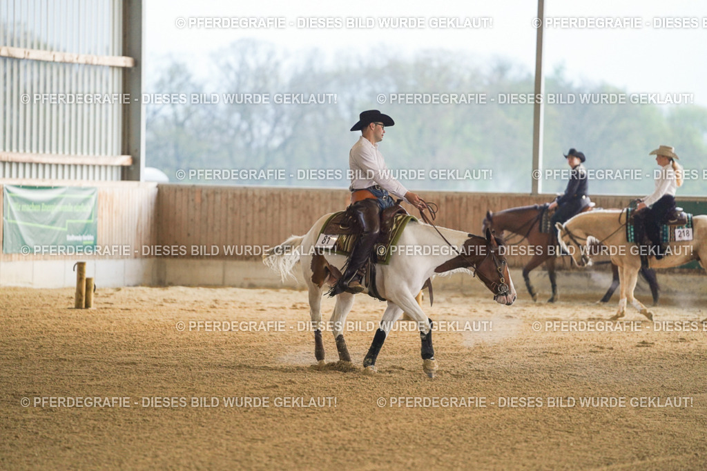 DSC09210 | Pferdegrafie