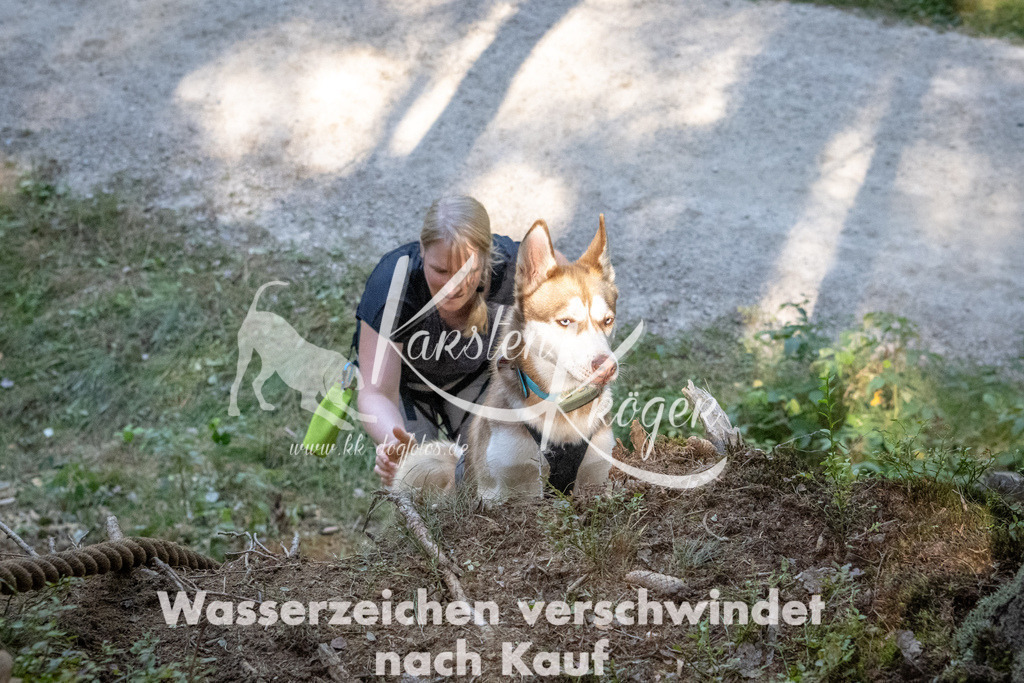 1105_ZZ94297 | kk-dogfotos