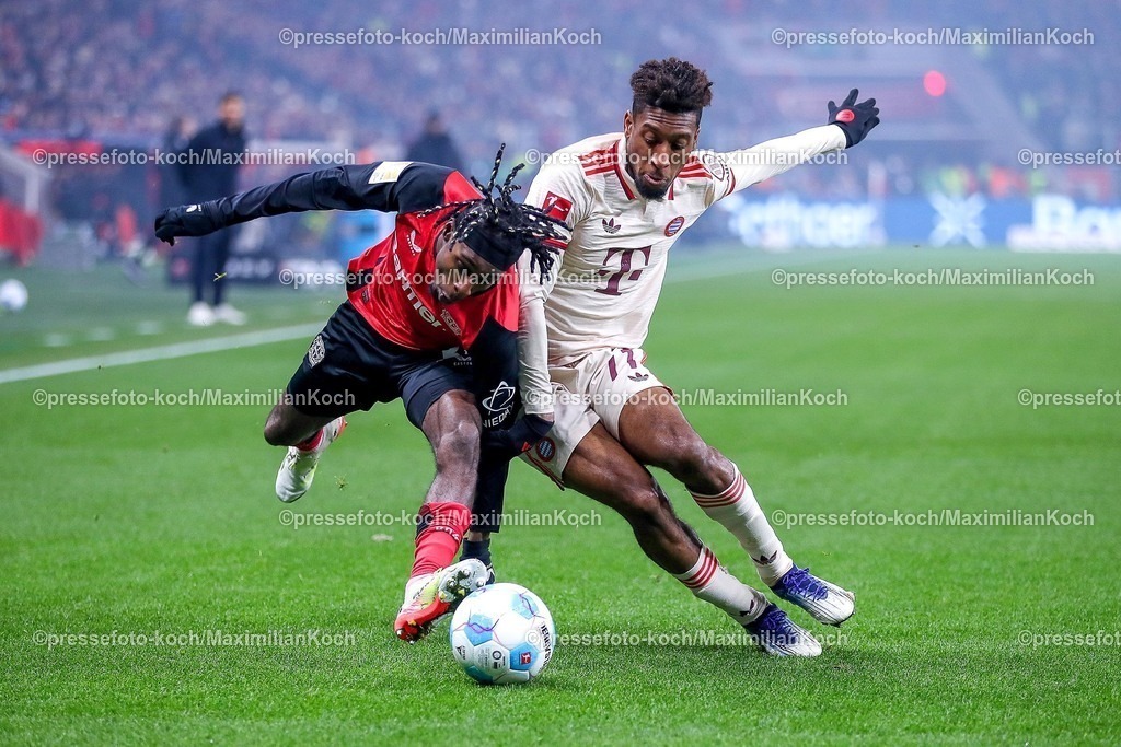 Lev15022501036 | 15.02.2025, Fußball, Bayer 04 Leverkusen - FC Bayern München, 1. Fußball Bundesliga, 22. Spieltag, BayArena, Saison 2024 2025: Jeremie Frimpong (Bayer04 Leverkusen #30) im Zweikampf gegen Kingsley Coman (FC Bayern #11)DFB regulations prohibit any use of photographs as image sequences and or quasi-video.