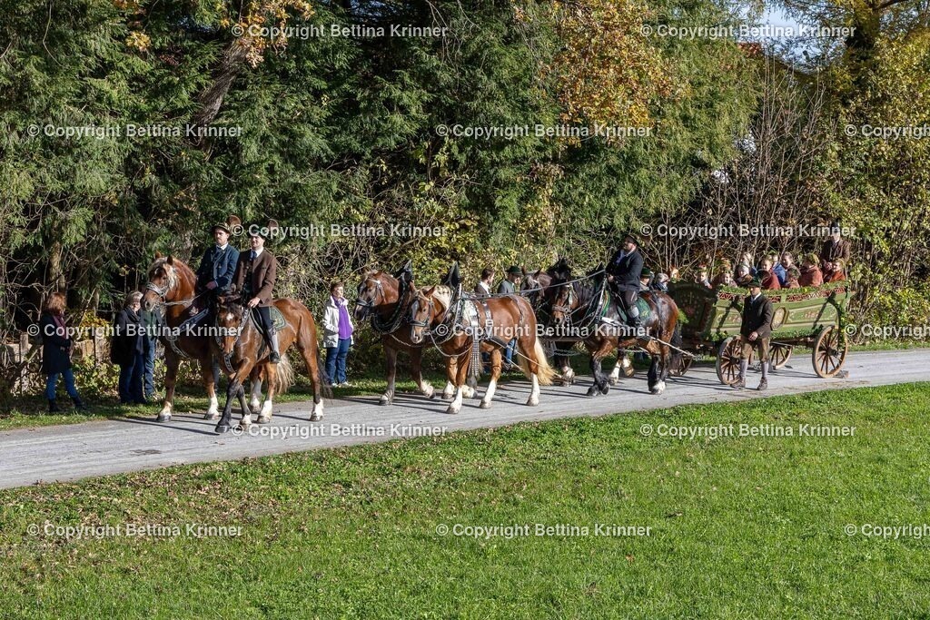 LBT24-701 | foto-bettina-krinner - Realisiert mit Pictrs.com