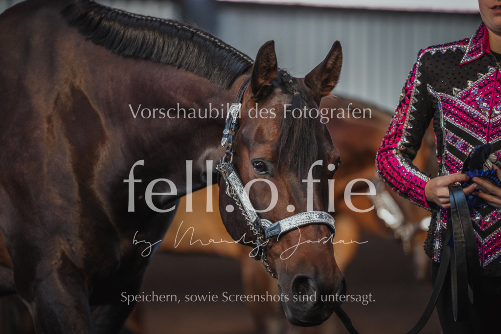 fell.o.fie_mandyjordan_2024_06_09871 | Mandy Klecke Fellfotografie, fell.o.fie Fotografenshop - Realisiert mit Pictrs.com