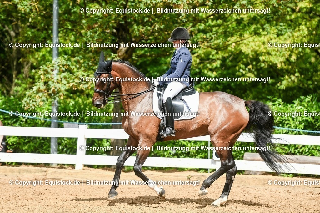 20230716_01_Dressurprüfung Kl.M_0185 | equistock