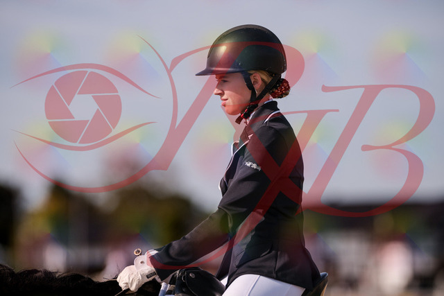 2026_10_03_Siefer-Hof_121232_Z81_13213462 | Professionelle Reitsport-, Turnier- und Eventfotografie von Robert Broda. Galerien mit ausgewählten und bearbeiteten Bildern direkt online ansehen und bestellen.