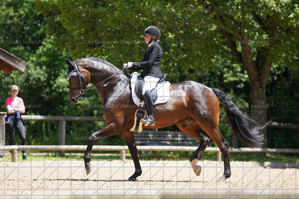 20240705-FAH03428 | Turnierbilder von Grafing, Reitsportbilder, Turnierfotos, Turnierfotografen Bayern, Pferdefotograf, Fotoagentur Herrmann