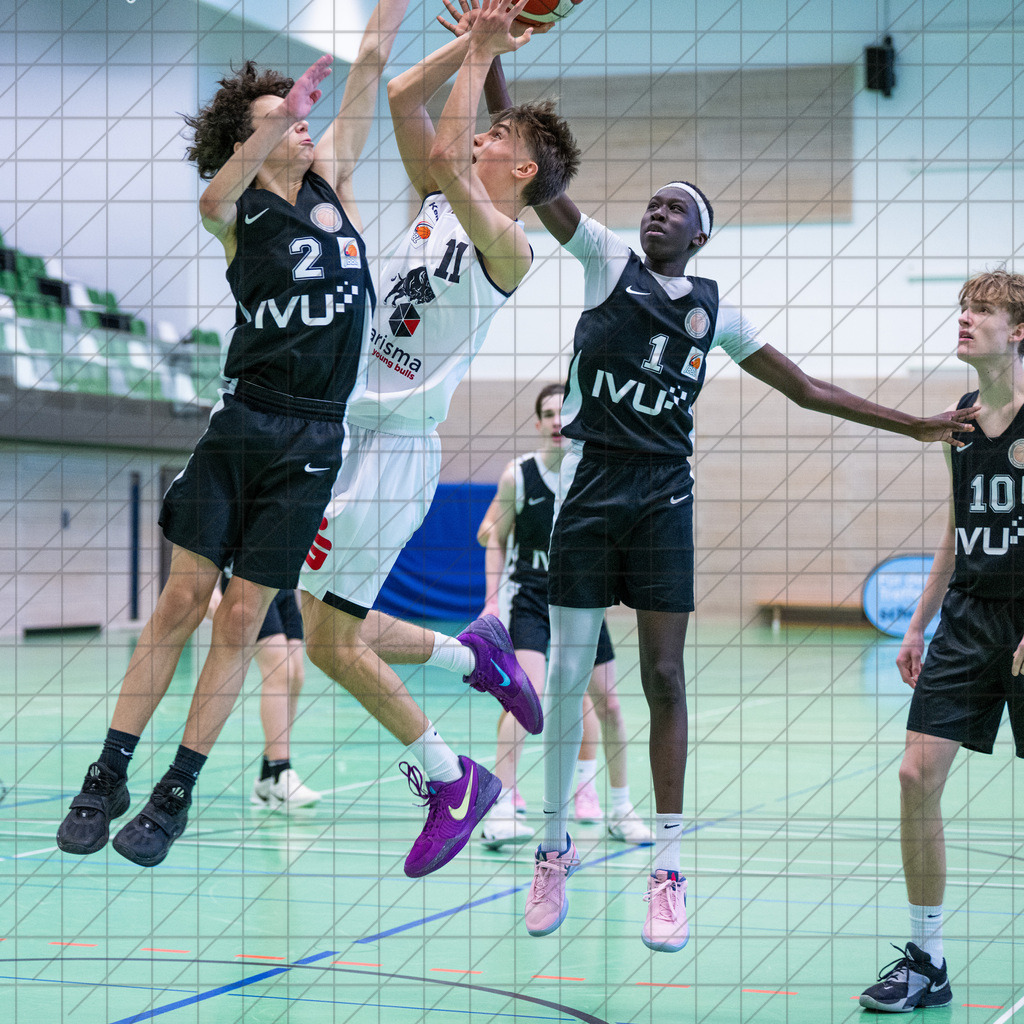 JBBL 24/25 | 12.01.2025 | Charisma Young Bulls vs. Northwestern Basketball Academy | JBBL 24/25 | 12.01.2025 | Charisma Young Bulls vs. Northwestern Basketball Academy - - - - - CREDIT, www.bullenfotos.de, Martin König, Hörner Weg 40, D-49078 Osnabrück, +4917663732967, Nutzung und Weitergabe nur zu den vereinbarten Zwecken. Presseanfragen an Urheber. Alle Rechte beim Urheber. - - - - - - Realisiert mit Pictrs.com