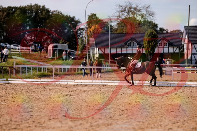 2026_10_03_Siefer-Hof_130850_Z81_62008341 | Professionelle Reitsport-, Turnier- und Eventfotografie von Robert Broda. Galerien mit ausgewählten und bearbeiteten Bildern direkt online ansehen und bestellen.