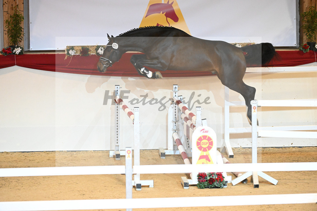 Kat-Nr. 21 Douglas VDL_VDL Stud_1230883 | hf-fotografie - Realisiert mit Pictrs.com
