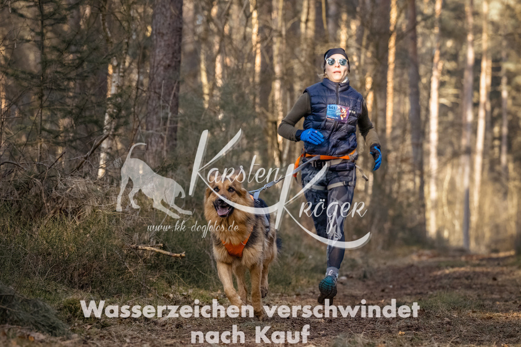 0853_ZZ92341-Bearbeitet | kk-dogfotos