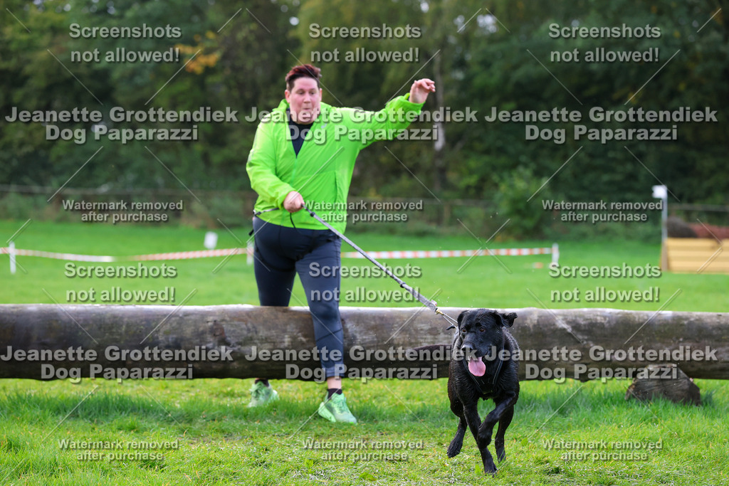 Dog Paparazzi -  SD1026-2242 | Dog Paparazzi Jeanette Grottendiek Fotografie & Videografie - Realisiert mit Pictrs.com
