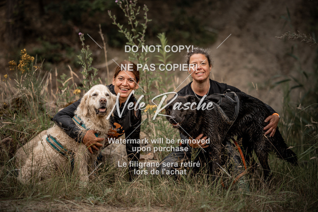 nelerasche_sa0800-1000_426 | nelerasche