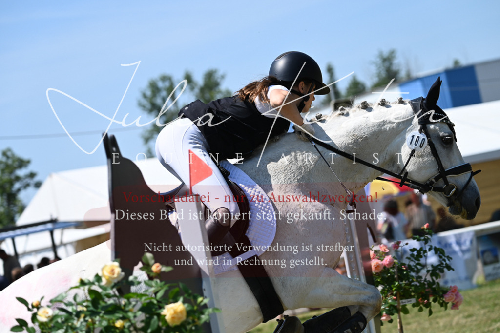 DSC_0851 | Pferde- und Turnierfotografie in Westsachsen. Pferdeportraits, Auftragszeichnungen und intuitive Kunst.